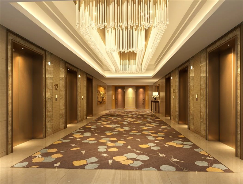 芜湖世茂滨江花园希尔顿逸林酒店 Wuhu Shimao Hilton Hotel